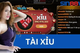 Hướng Dẫn Nạp và Rút Tiền Tại Sin88 Win